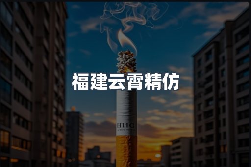 福建云霄精仿